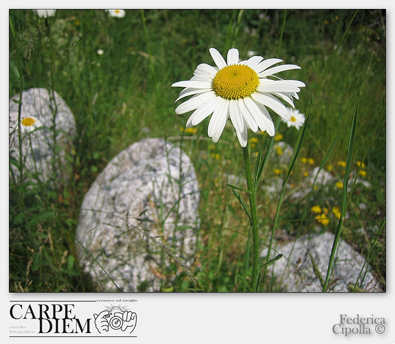 VAL DI MELLO 058.jpg